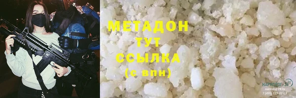 стаф Алзамай